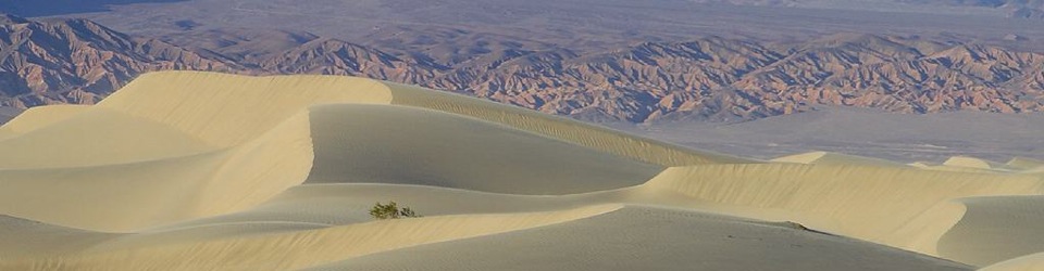 sand and desert