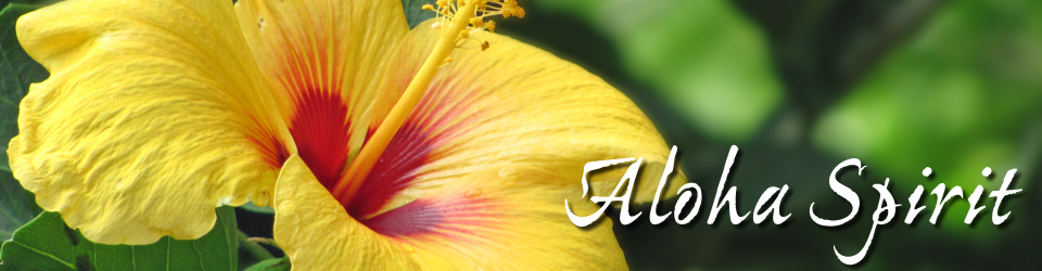 aloha spirit