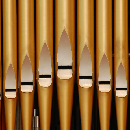organ pipes