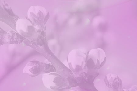 22may08