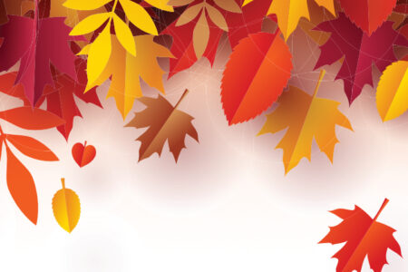 22nov20