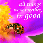 all things - tile