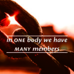 one body