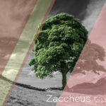 zaccheus tile
