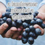 vinyard tile